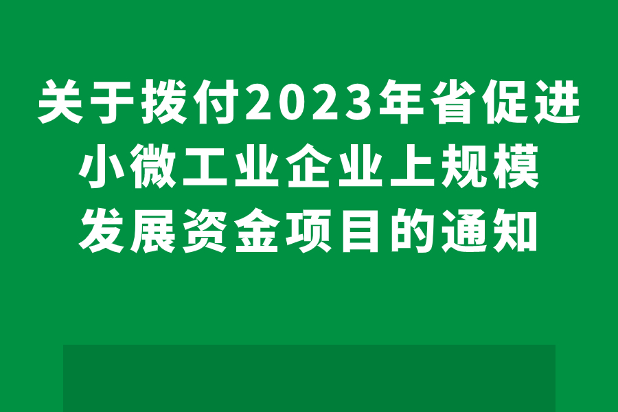 关于拨付2023年省促进小微工业企业上规模发展资金项目的通知